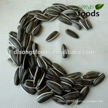 Cheap Price of Chinese Sunflower Seeds